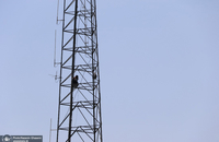 اقدام به خودکشی یک دختر جوان در شهرک غرب + تصاویر