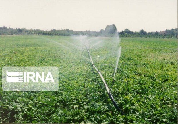 ۲۰ هزار میلیارد ریال برای توسعه کشاورزی ایلام هزینه شد