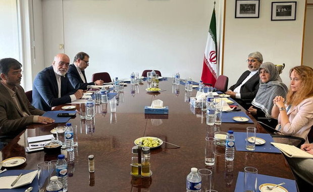 گزارشگر ویژه سازمان ملل با دبیر ستاد حقوق بشر ایران دیدار کرد/ دوهان: اقدامات قهری یکجانبه، نقض حقوق بشر هستند/ سراج: تحریم‌ها ابزار مجازات جمعی‌اند/ یافته‌های گزارشگر ویژه تایید آثار مخرب اقدامات ظالمانه و بی‌رحمانه مدعیان حقوق بشر است