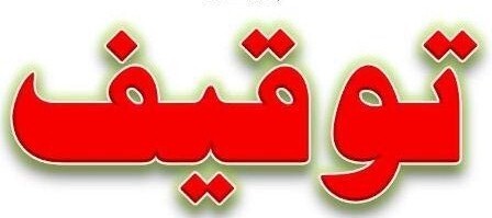  ۵۵ خودروی لوکس به‌دلیل «دور دور کردن» در شمال تهران توقیف شدند
