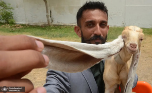 منتخب تصاویر امروز جهان - 27 و 28 خرداد 1401