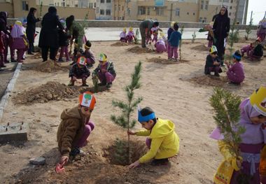 350 هزار اصله نهال رایگان در شاهرود توزیع شد