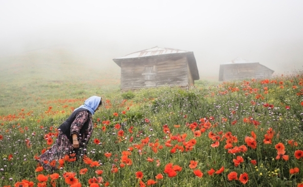 بسته های نوروزی خلاقانه تدوین شود