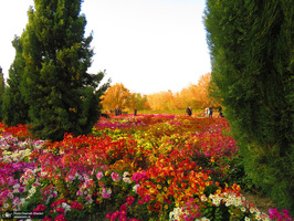 باغ گیاه‌شناسی ملی ایران‎