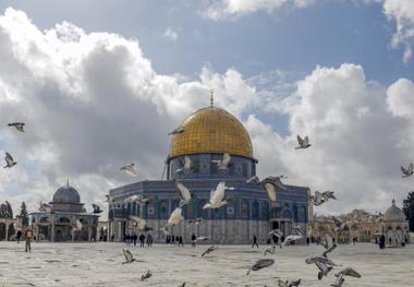 ملت فلسطین در صحنه است/ قدس آزاد خواهد شد