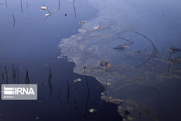 نشت نفت رودخانه «تنگ تلخ» رامهرمز را آلوده کرد