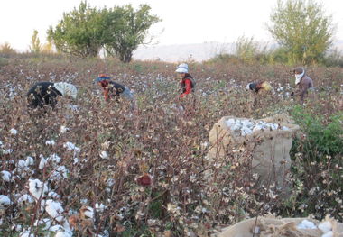 بانک کشاورزی خراسان شمالی وام بیش از ۲ هزار کشاورز را امهال کرد