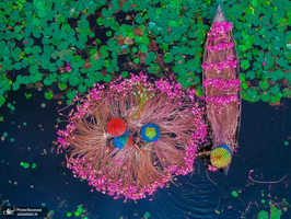 منتخب تصاویر امروز جهان - 20 مرداد 1401