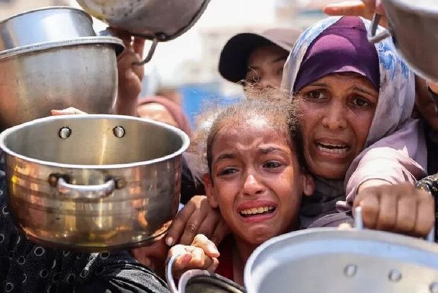 مدیرعامل انجمن ترویج حقوق شهروندی خواستار توقف فاجعه انسانی در غزه شد