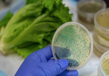 تشخیص آلودگی آب و غذا در کمتر از ۴ ساعت
