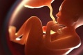 آمار وحشتناک سقط جنین در ایران/ وسایل پیشگیری از بارداری از دسترس 40 میلیون نفر خارج شده است - ادعای یک جامعه‌شناس