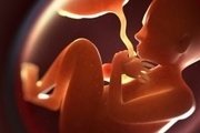 جزییات دستورالعمل «حفظ و مراقبت از جنین سالم»: مباشرت یا معاونت در سقط جنین جرم تلقی می‌شود؛ برای فرد خاطی جرایم سنگین در نظر گرفته می‌شود