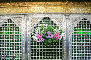 منتخب تصاویر امروز جهان- 21 خرداد 1400