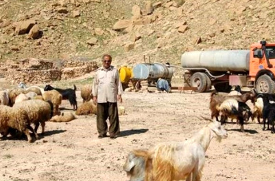 تأمین آب شرب دام های خوزستان