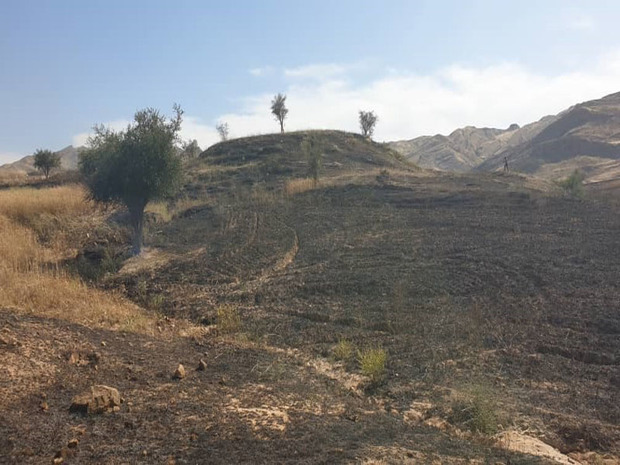 آتش سوزی در طبیعت مسجدسلیمان مهار شد