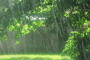 بارش باران تا فردا  یکشنبه  در آذربایجان غربی ادامه دارد