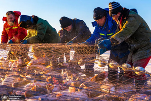 منتخب تصاویر امروز جهان - 6 دی 1401