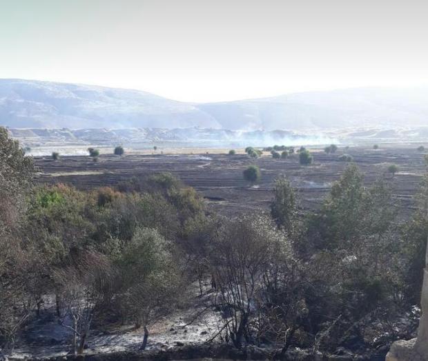 آتش در زمین های کشاورزی یک  روستای ایذه مهار شد