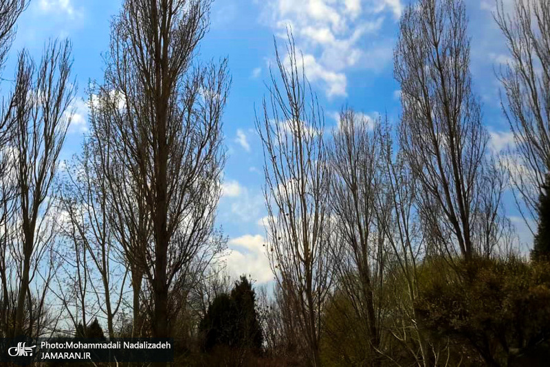 باغ گیاه شناسی ملی ایران