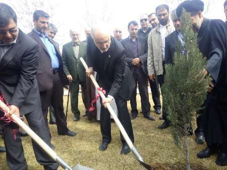 رئیس سازمان انرژی اتمی در پارک علم و فناوری قزوین یک نهال غرس کرد