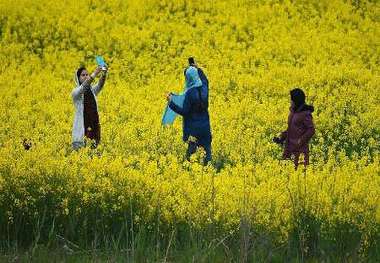 نوروز 96 ، تجربه سفری متفاوت در مازندران برای مسافران