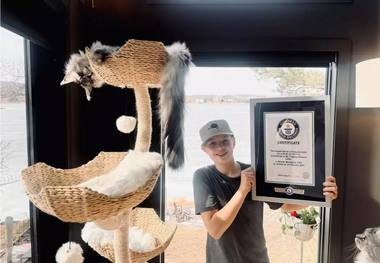 گربه دم دراز در کتاب گینس رکورد زد! + عکس