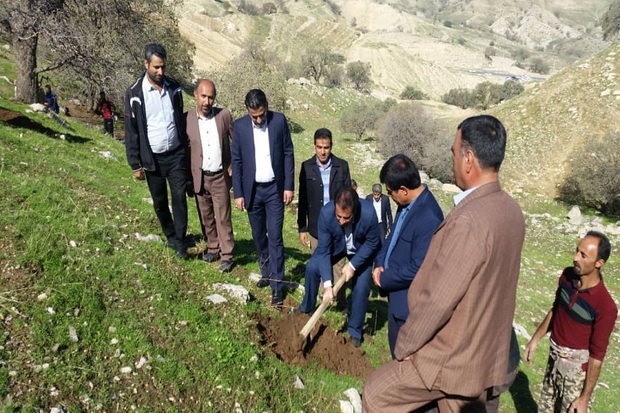 طرح احیای جنگل ها و مراتع باشت آغاز شد