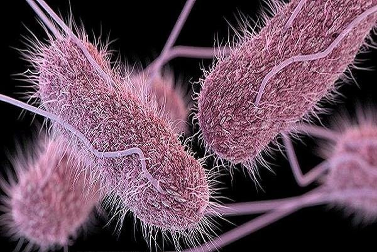 کشف نوعی باکتری که فقط با هوا خوردن زنده است