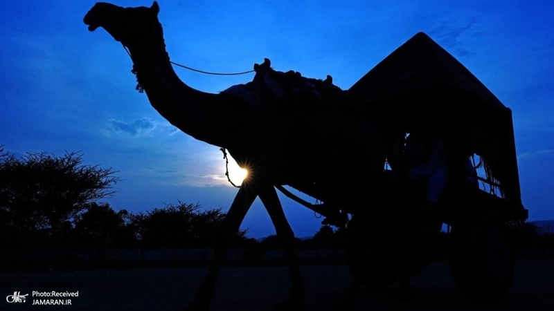 منتخب تصاویر امروز جهان - 21 شهریور 1401