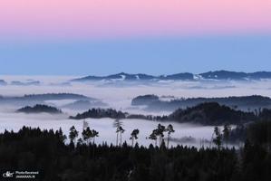 منتخب تصاویر امروز جهان- 29 آذر 1400