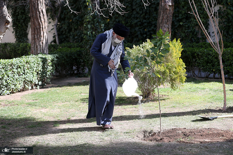 کاشت دو نهال میوه توسط رهبر معظم انقلاب