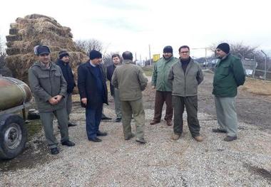 10 راس از مرال های سایت فندقلوی نمین در زیستگاه منطقه حفاظت شده ارسباران رهاسازی می شود