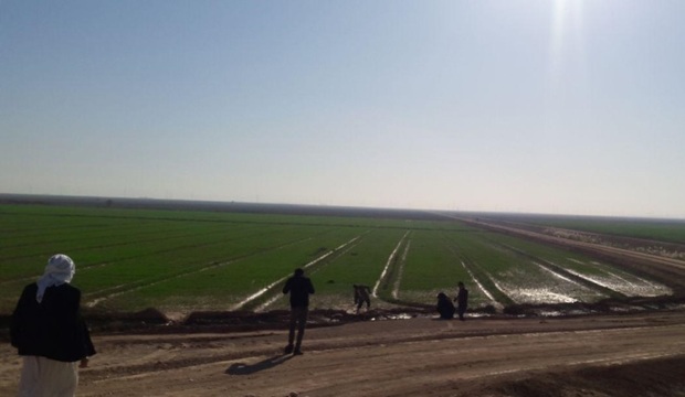 270میلیارد ریال خسارت به کشاورزان خوزستانی پرداخت شد