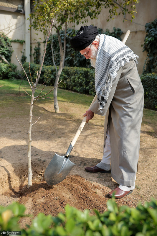 کاشت نهال در روز درختکاری توسط رهبر معظم انقلاب