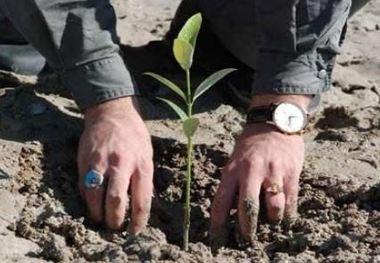 30 هکتار از زمین های کهگیلویه زیر کشت نهال رفت