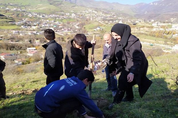 کاشت ۱۰ هزار اصله نهال در بوشهر آغاز شد