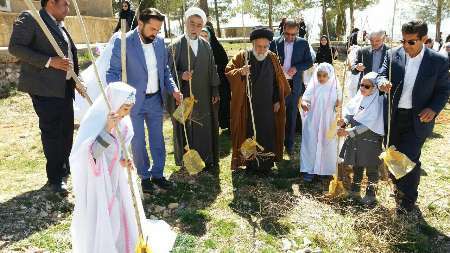 استقبال از درختکاری در کهگیلویه و بویراحمد، نویدبخش طبیعت سبز