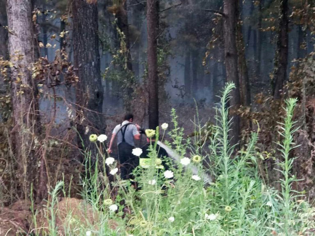 آتش سوزی جنگل های شهر صنعتی رشت مهار شد