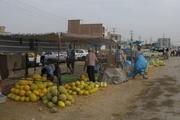 بازار گرم تولید و فروش هندوانه و خربزه در گنبدکاووس