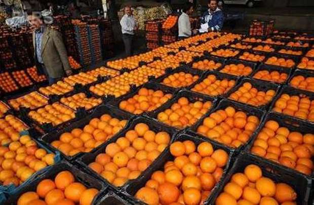 قیمت میوه های شب عید در زنجان تعیین شد