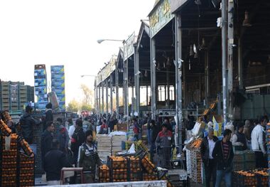۲هزار و ۸۸۰ تن میوه در خوزستان توزیع شد