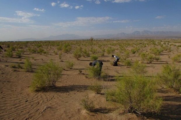 ۳۱ طرح منابع طبیعی در خراسان جنوبی افتتاح می‌شود