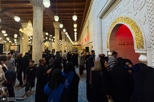 هم قدم با زائران اباعبدالله الحسین (ع)؛ کوفه