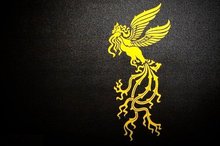 اسامی نامزدهای دریافت سیمرغ چهل‌وچهارمین جشنواره فیلم فجر/ از ستاره پسیانی و الناز ملک تا امین حیایی، رضا عطاران و حامد بهداد