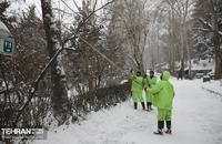 بهترین عکس ها از روز برفی تهران (18)