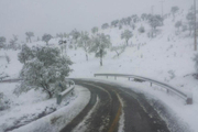 بارش برف در برخی نقاط استان قزوین به 6 سانتی متر رسید