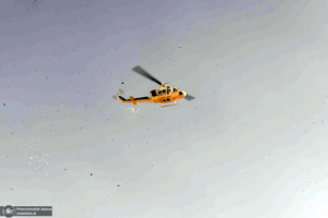 آیین مهمانی لاله ها در گلزار شهدای بهشت زهرا(س)