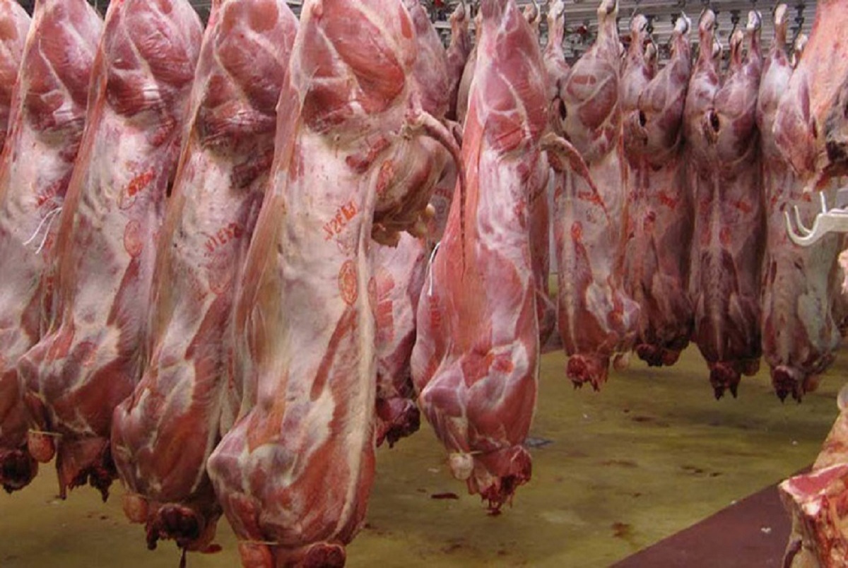 بهانه جدید برای گران تر کردن گوشت/ مدیر اتحادیه: باید کیلویی 170 تا 180 هزار تومان باشد!