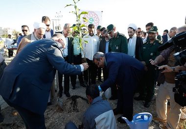 نهالکاری بوستان ۲۰ هکتاری کیش آغاز شد