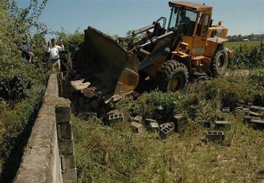 300اصله درخت مثمر در گچساران قلع و قمع شد